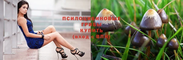 мдпв Магас