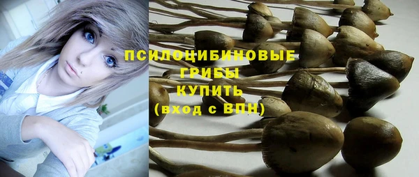 дживик Магадан