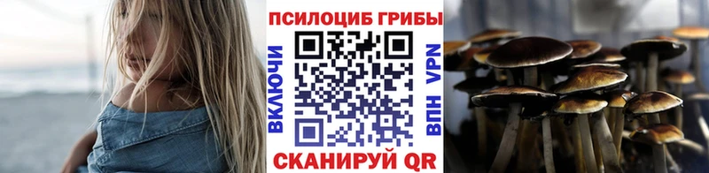 Галлюциногенные грибы Psilocybine cubensis  Александровское 