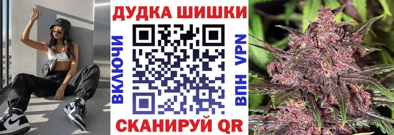 Конопля SATIVA & INDICA  где продают   Александровское 